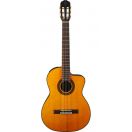 GUITARRA TAKAMINE GC5CE