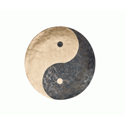 WIND GONG MEINL 20 WGYY20