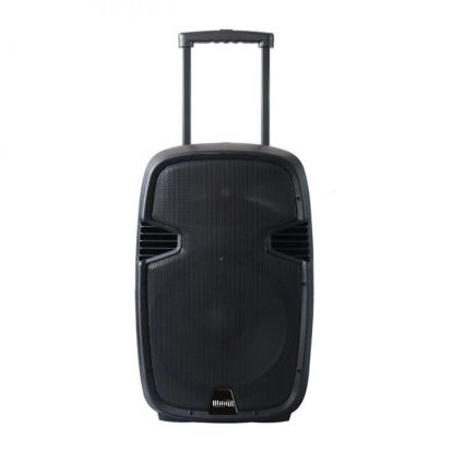 BAFLE POTENCIADO AURAX 15" ARX15W