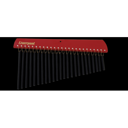 CARRILLON LIVERPOOL 24 NOTAS 11697 SILVER