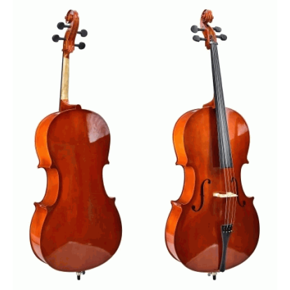 CELLO TAYSTE C10 4/4
