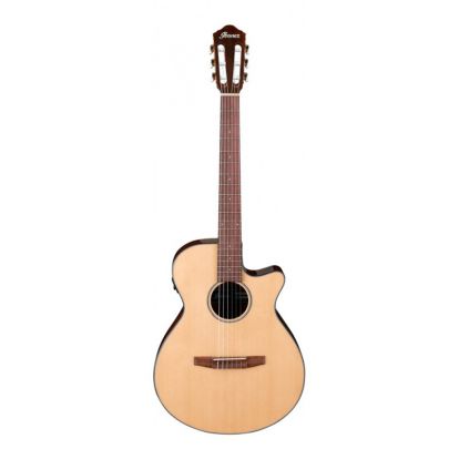 GUITARRA IBANEZ AEG-50N NT
