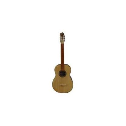 GUITARRON CASA LUCHO