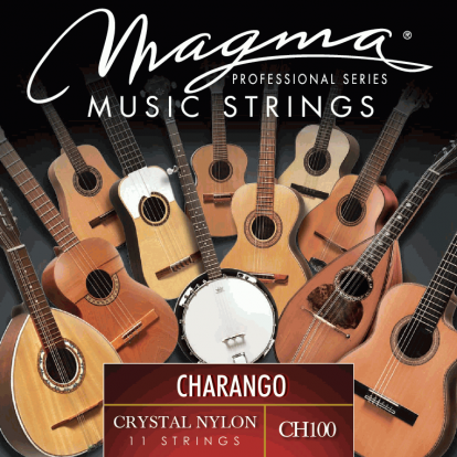 MAGMA CHARANGO CH100